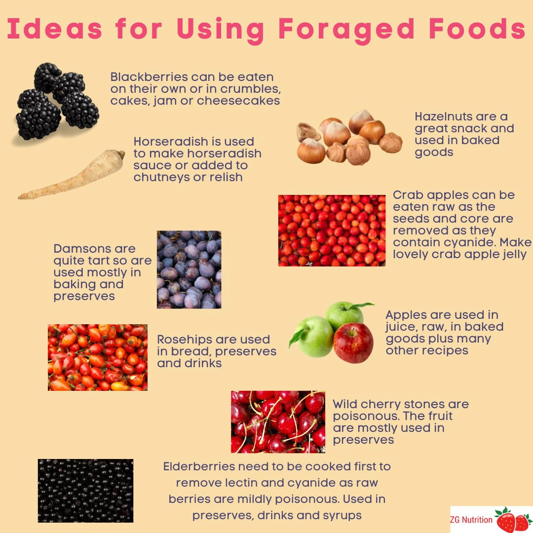 Ideas for foraging