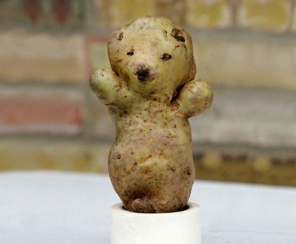 Potato Bear