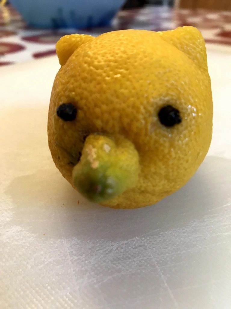 Lemon Pigs