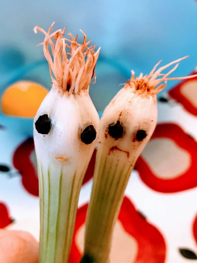 Spring Onion People